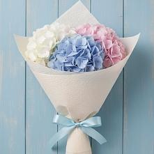 Букет цветов из:  Гортензия в Красной Поляне Кировской области