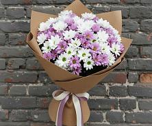 Букет цветов из:  Хризантемы в Красной Поляне Кировской области