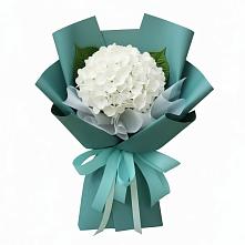Букет Лёгкое облако в Красной Поляне Кировской области Букет цветов из:  Гортензия в Красной Поляне Кировской области